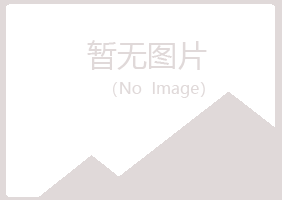 山阳区初夏工程有限公司